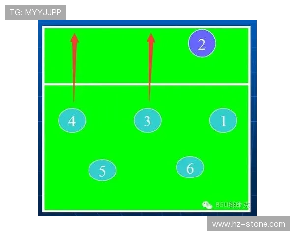 武汉排球队反击战术解析：深度剖析排球竞技中的策略与执行